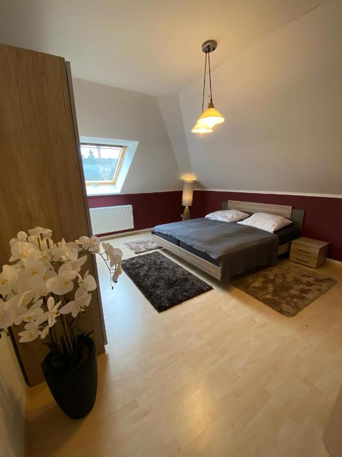 Ferienwohnung Oelzschau - Urlaub Im Leipziger Neuseenland Rotha Exterior photo