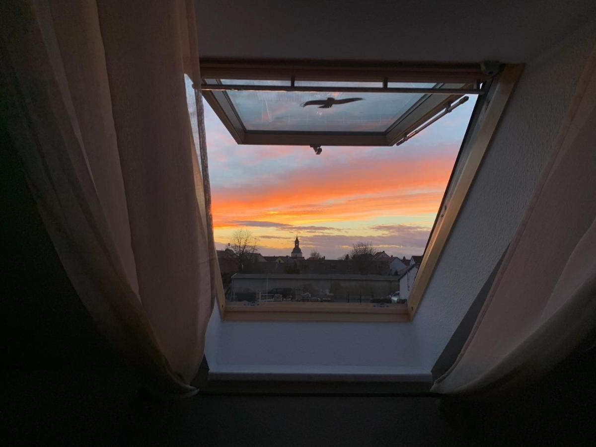Ferienwohnung Oelzschau - Urlaub Im Leipziger Neuseenland Rotha Exterior photo